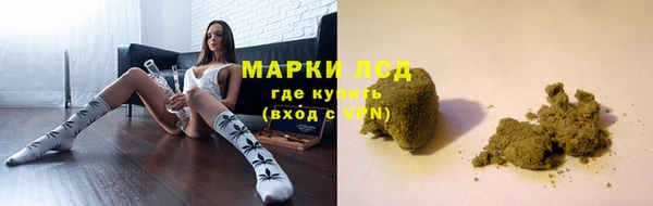 крисы Алзамай