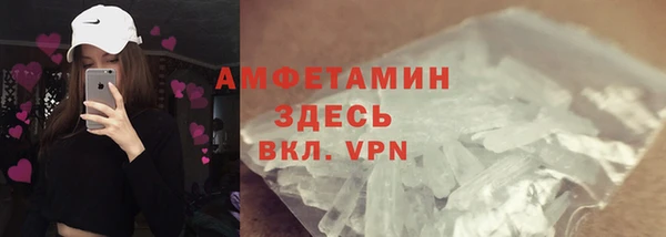 мет Алексин
