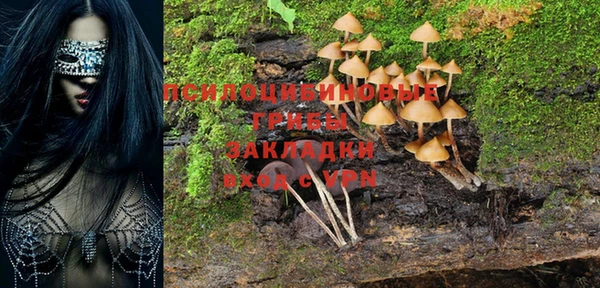 крисы Алзамай