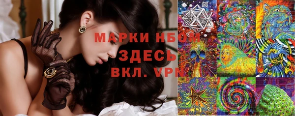 крисы Алзамай