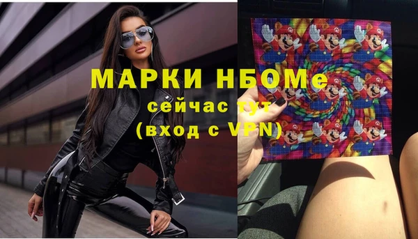 мет Алексин
