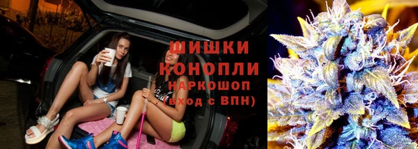 крисы Алзамай