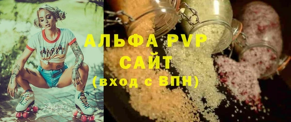 крисы Алзамай