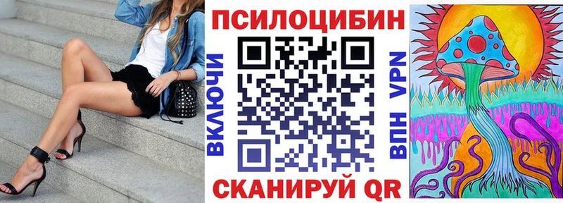 Галлюциногенные грибы Psilocybe  как найти   Урюпинск 